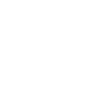 Stakeholder-Engagement