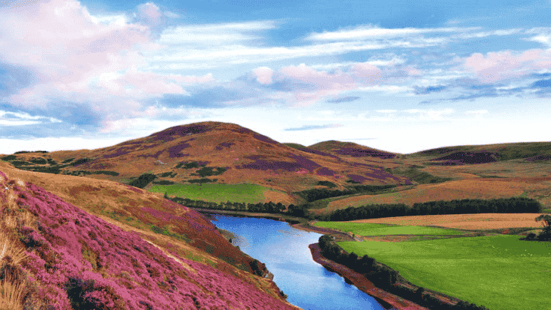 Keep Scotland Beautiful ISO certification case study