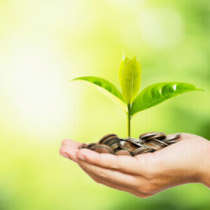 ISO 14001 Free Introduction Training from British Assessment Bureau