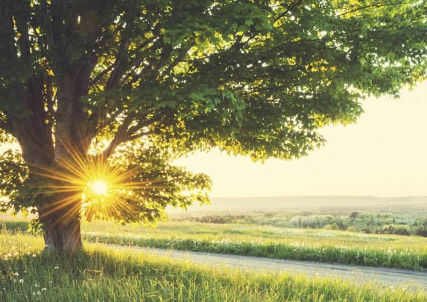 Ultimate Guide to ISO 14001