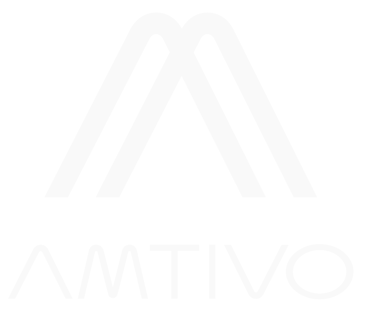 amtivo logo seasalt