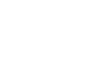 Orion Logo