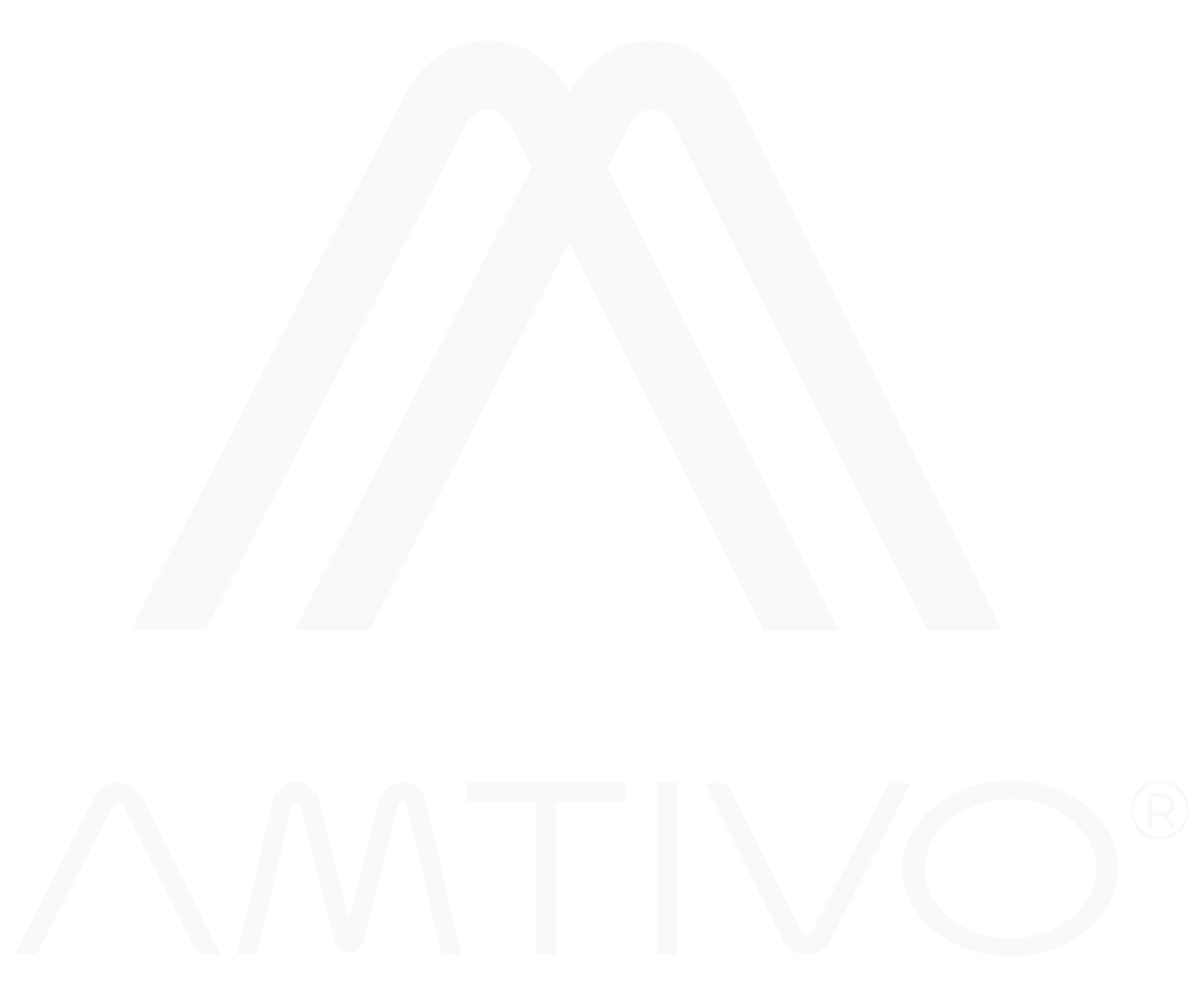 Amtivo Group